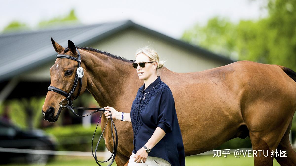 包含爱尔兰马术选手稳中求胜,成功卫冕的词条 包含爱尔兰马术选手稳中求胜,成功卫冕的词条